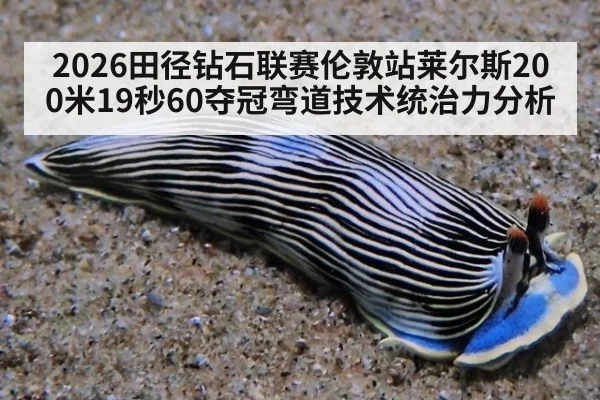 2026田径钻石联赛伦敦站莱尔斯200米19秒60夺冠弯道技术统治力分析